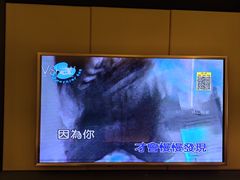 -V-SHOW主题KTV(新城店)
