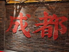 -小龙翻大江文化火锅(宽窄店)