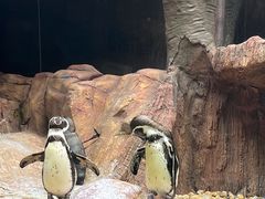 -长鹿旅游休博园
