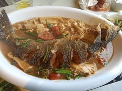 -大雄九老菜馆(南门桥店)