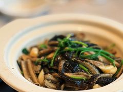 白烧鳝丝-新南华大酒店(长寿店)