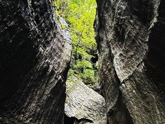 -梭布垭石林景区