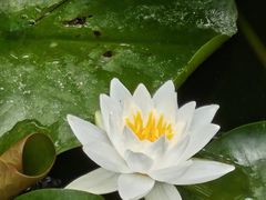 -莲湖公园