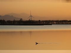 -野鸭湖国家湿地公园
