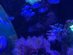 -太平洋海底世界