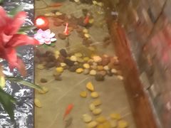 金鱼池-蓝珊甄选海鲜自助·火锅大排档(近阿那亚店)