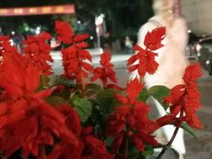 -福建师范大学(仓山校区)