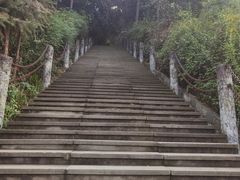 -铁山坪森林公园