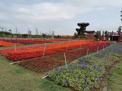 -芒洲湿地公园