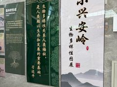 -汤旺河林海奇石景区