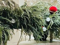 -隅乐胡椒虾·台湾菜·团建(皇岗店)
