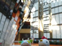 -上海滴水湖皇冠假日酒店