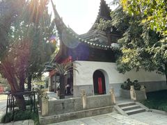 -秋霞圃