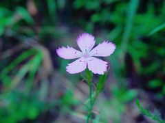-碓臼峪自然风景区