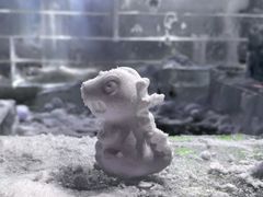-清明上河园