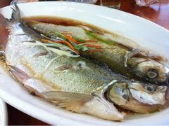 白鱼-西新饭店(城中店)