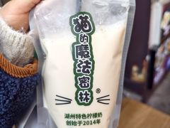 -猫的魔法密林(衣裳街店)