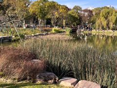 -宁波儿童公园(鄞州区)