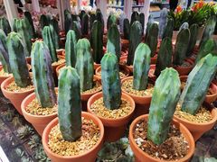 -KKV(深圳宏发大仟里店)