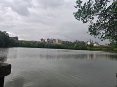 -三水森林公园