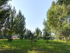 -蒲河岛湿地公园