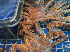 -望海湾海鲜楼·海鲜(河南路店)