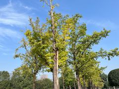 -重庆中央公园(渝北区)