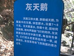 -青青世界