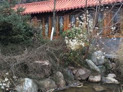 -麦积山温泉