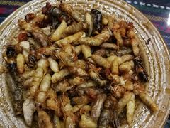 -昆虫窝子·特色云南菜(拓东路总店)