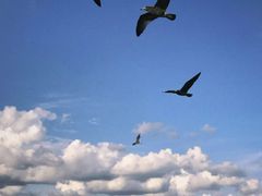 -大连海昌东方水城