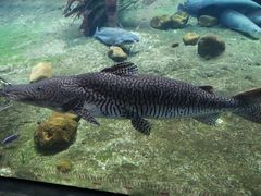 -珠海长隆海洋王国