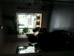 -BM SALON