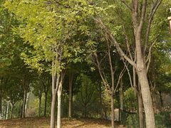 -回龙观体育文化公园