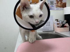 -美联众合24小时·皮肤科·外科·全科诊疗中心(华苑分院)