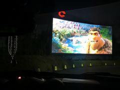 -枫花园汽车电影院(朝阳公园店)