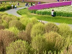 -径山花海