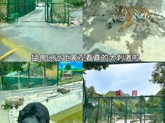 -栾川竹海野生动物园