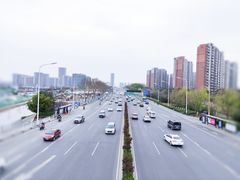 -菊花台公园
