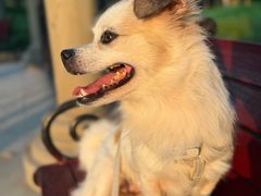 -米村拌饭(杭州国大城市广场店)