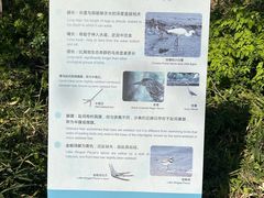 -同里国家湿地公园