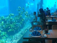 -海棠湾洲际-涛·海底餐厅·美人鱼·自助餐·海底隧道