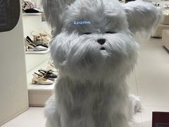 -五马集·海鲜·温州大牌档(黑金冠五马街十字路口店)