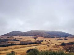 -塞罕坝国家级自然保护区