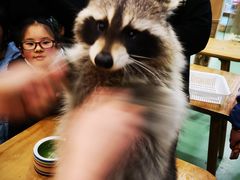 -藦茜花园宠物主题亲子互动体验馆(国顺东路店)