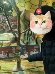 -酷嗒动物文化乐园(cutezoo西溪乐天城店)