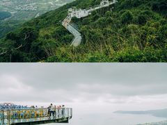-亚龙湾热带天堂森林公园