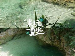 -南海湾森林生态园