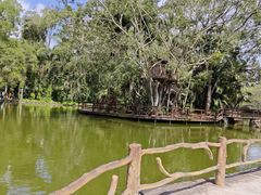 -海南热带野生动植物园