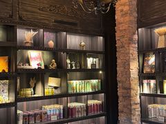 -雪灵魔法世界SHELLY’S TAROT(大良桂畔里店)